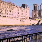 BALEINE a PARIS